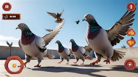 Pigeon Life APK Download for Android 