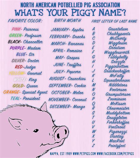 Jan 3, 2020 · Choosing a pet pig name coul