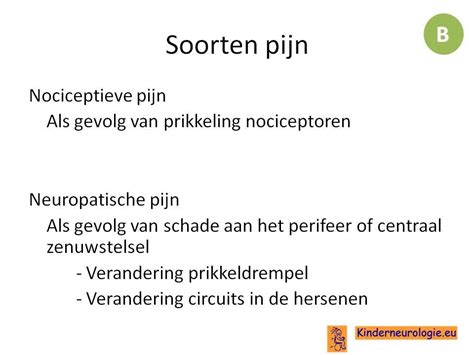 Pijnzenuwen betekenis