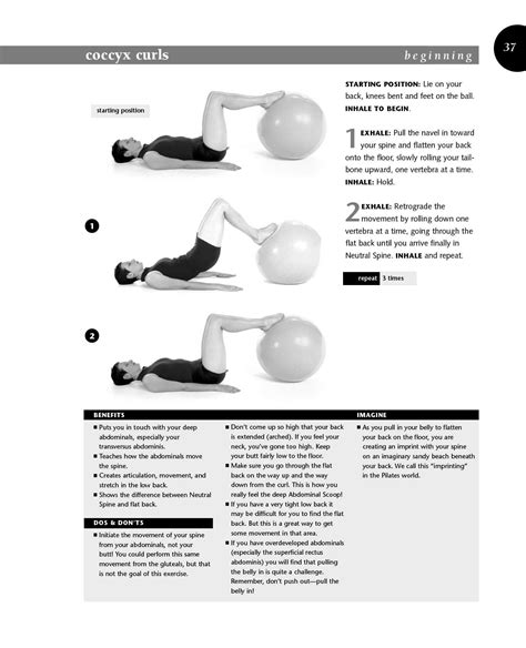 Pilates workbook on the ball illustrated step by step guide. - Operator s manual grenade launcher 40 mm m203 1010 00.