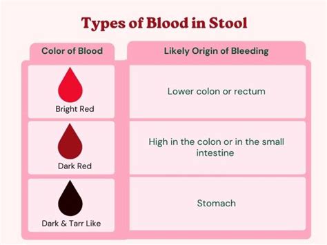Piles and blood in poo