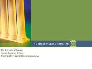 Pillars of the Program Georgia 
