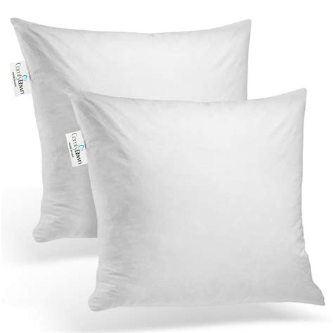Pillow inserts 16x16. (White, 16x16) 4.0 out of 5 stars 21,521. $9.99 $ 9. 99. MIULEE Pack of 2 14x14 Outdoor Pillow Inserts, Outdoor Throw Pillows Water-Resistant Decorative Premium Square Pillow Stuffer Sham for Porch Swing Couch Sofa Cushion Patio Furniture. 