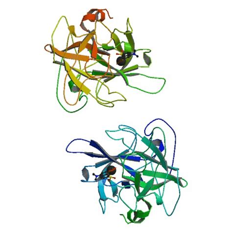 Pilocarpine: Uses, Interactions, Mechanism of Action - DrugBank