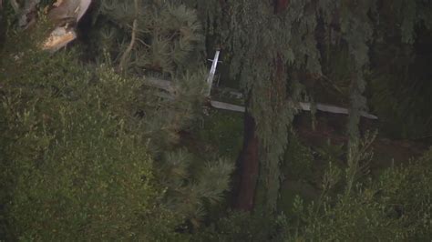 Pilot in fatal La Jolla plane crash identified