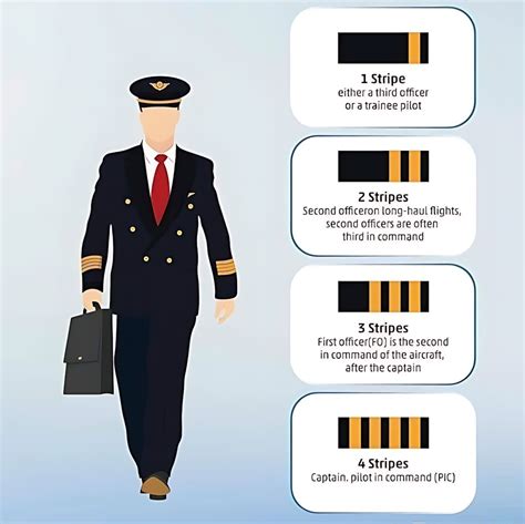 Pilot stripes.  They assist the captain through flight planning and updat...