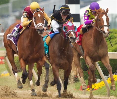 Pimlico Race Course Race 13-The Preakness Stakes. Post: 7:01 PM ET