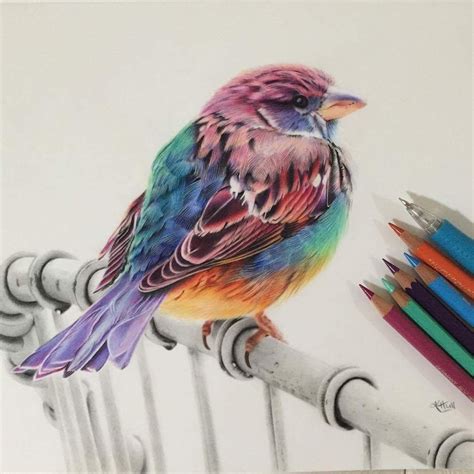 Pin by 🌸Cherry. Blossom🌸 on Keep calm and color your life Bird