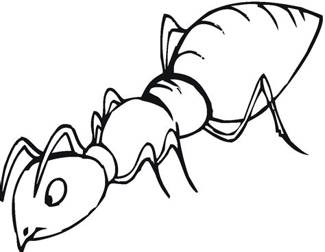 Pin by ColoringSky on Ant Coloring Pages Drawing for kids, Coloring