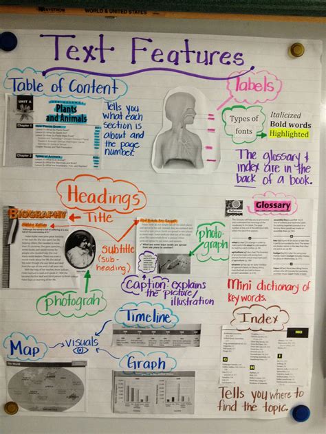 Pin by Emily Dale Willmott on Learning Text feature anchor chart