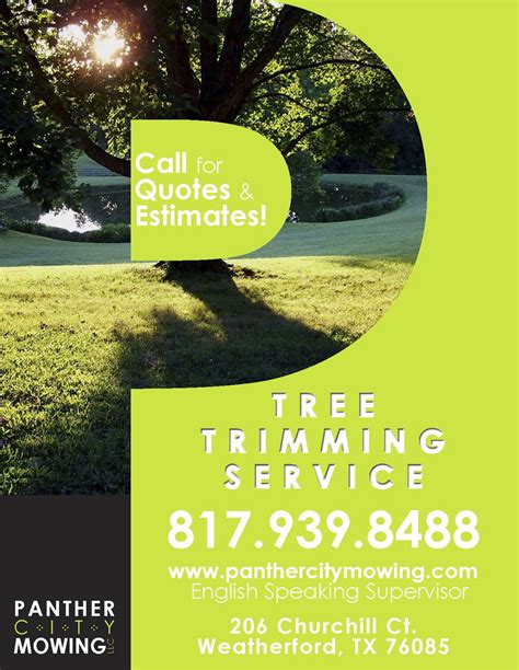 Pin by Jody Atkinson on Design Life Tree service, Tree trimming
