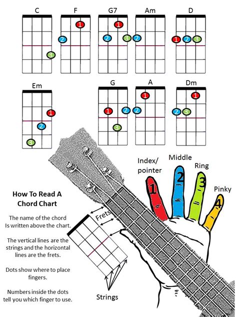 Pin by Lina Kohail on Learning ukulele Ukulele songs, Ukulele chords