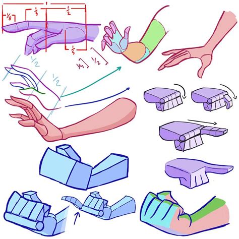 Pin by Tyler Bolyard on 2D Stylized Construction & Anatomy Human