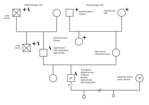 Pin on 40+ Genogram Templates(Free Editable) EdrawMax