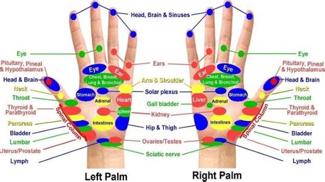 Pin on Acupressure points chart