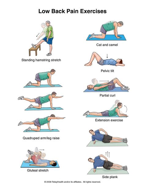 Pin on Back pain exercises