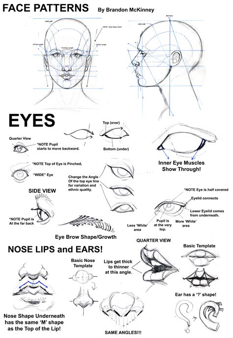 Pin on Basic Drawing Tutorials