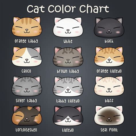 Pin on COLOR CATS