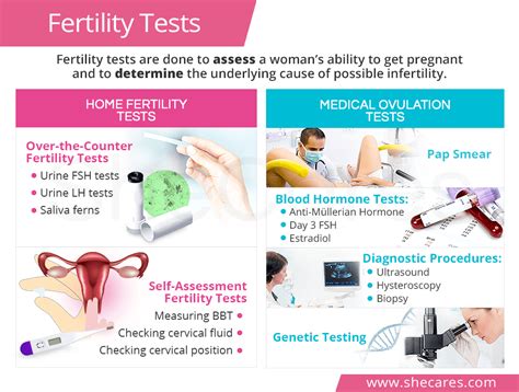 Pin on Complete Fertility Guide