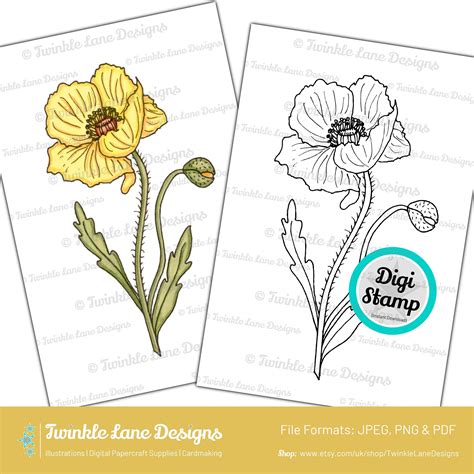 Pin on DIGI STAMPS