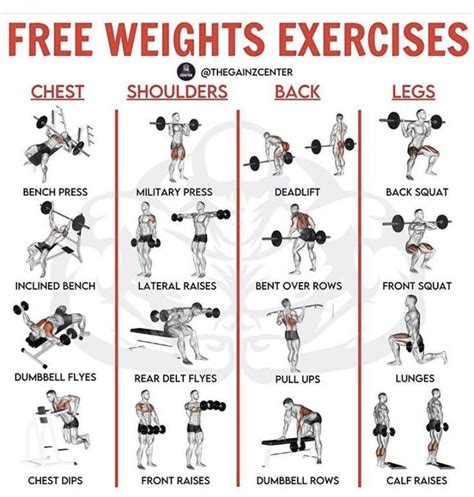 Pin on Free Weight Exercises