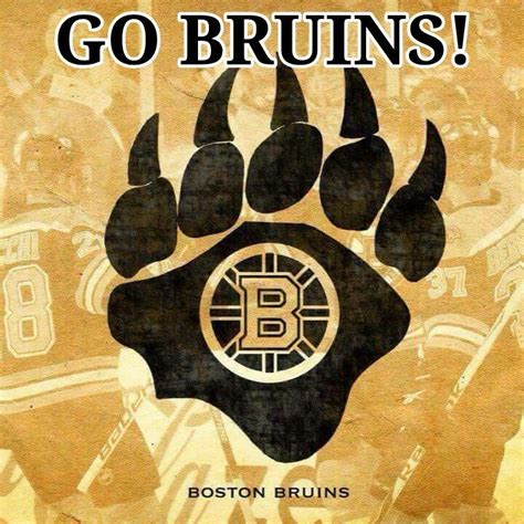 Pin on Go Bruins - Pinterest