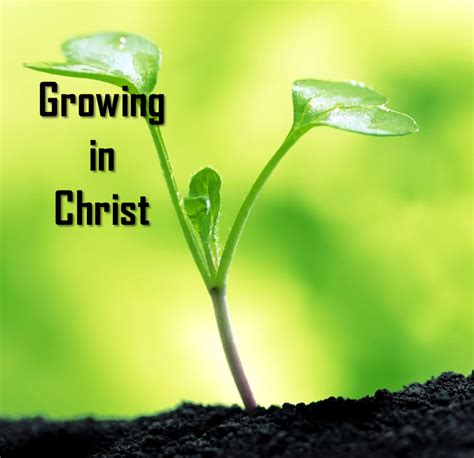 Pin on Grow in Christ!