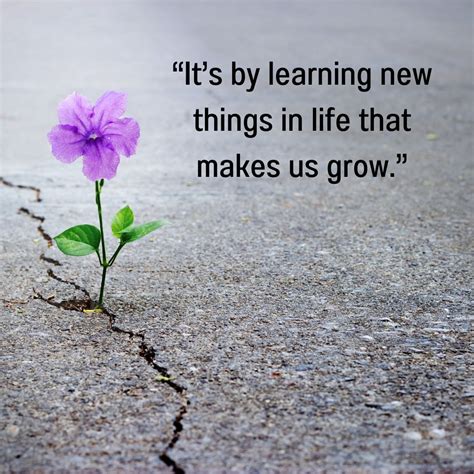 Pin on Learning and Growing
