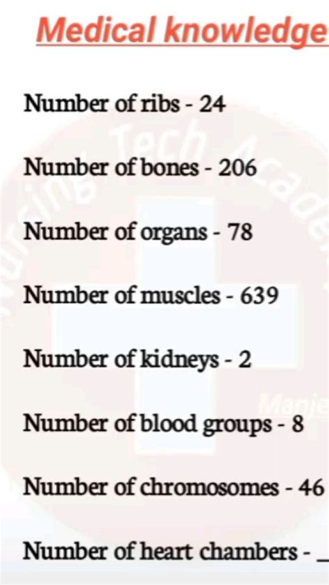 Pin on Medical knowledge