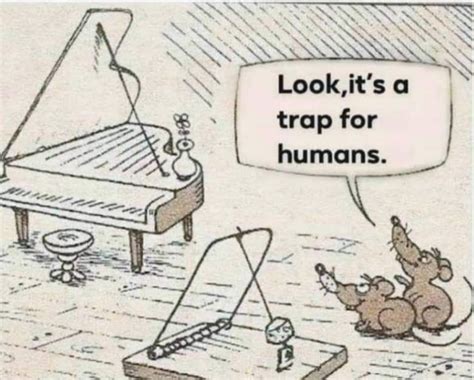 Pin on Music Humor