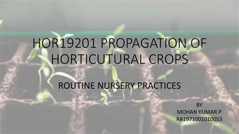 Pin on Nursery practices