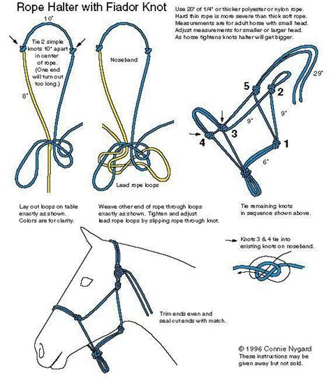 Pin on Patterns for riding and halter