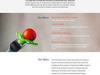 Pin on Perfect One Pager Example 2019