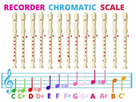 Pin on Recorders