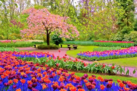 Pin on Seasons_Spring