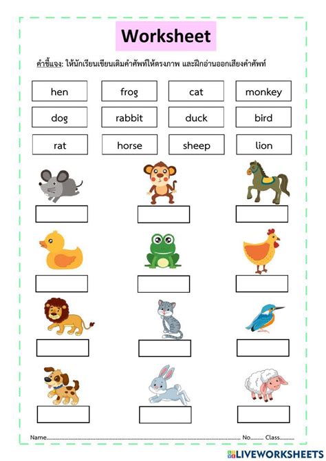 Pin on Worksheet & Template
