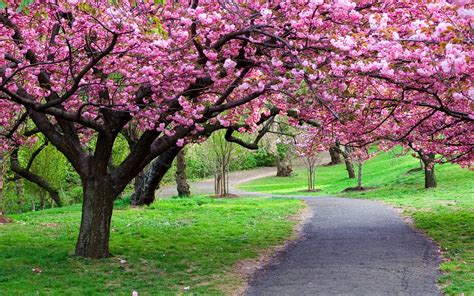 Pin on beautiful Spring