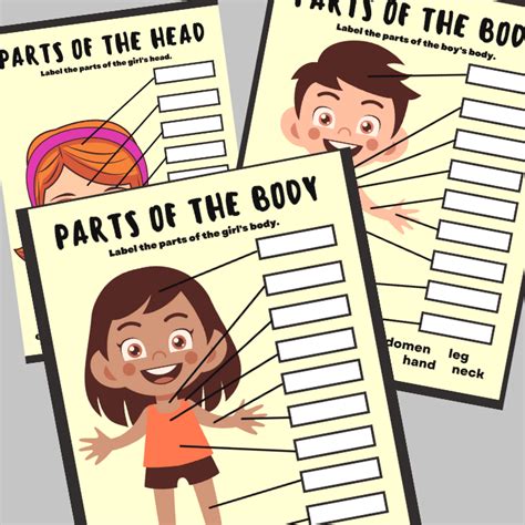 Pin on curriculum stuff