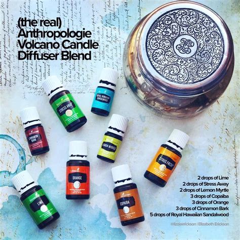 Pin on essential oils