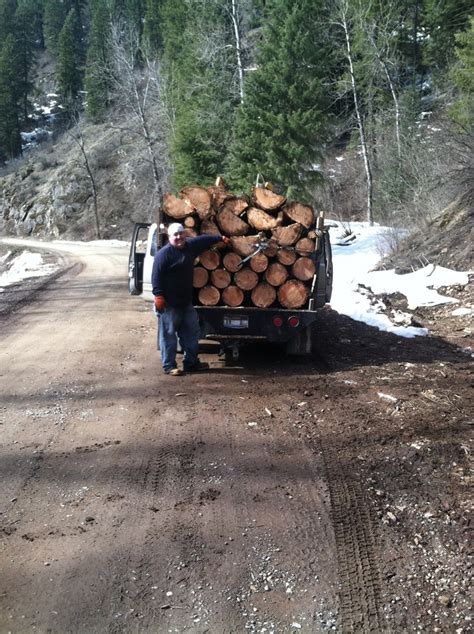Pin on logging