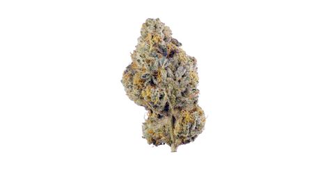 Pina grande strain leafly. Granddaddy Purple is an indica marijuana strain that goes by many different names, including "Grand Daddy Purp," "Granddaddy Purps," "GDP," and "Grandaddy Purple Kush." Popularized in 2003 by Ken ... 