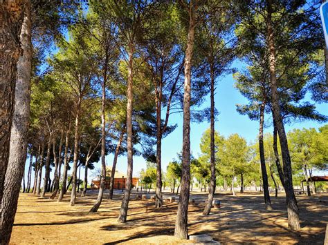 Pinar Halı ve Koltuk Yıkama