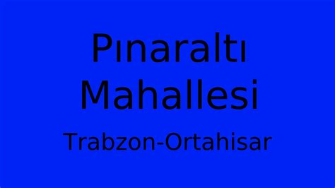 Pinaralti Halı ve Koltuk Yıkama