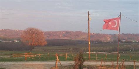 Pinarduzu Halı ve Koltuk Yıkama