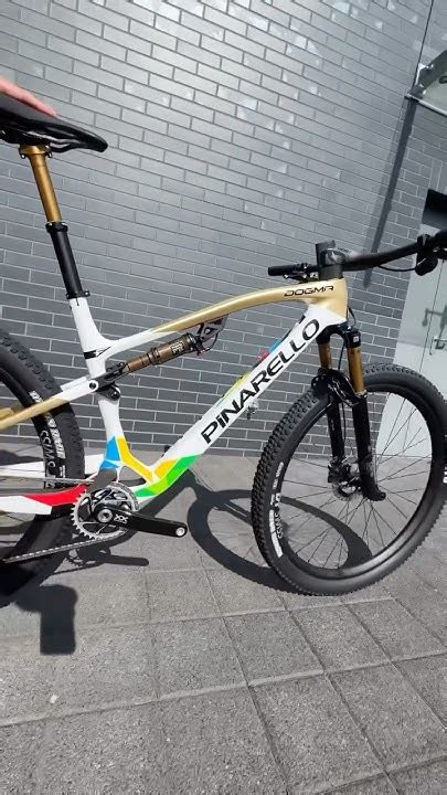 Pinarello Sisters Bisiklet Forum.