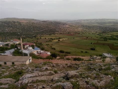 Pinaryayla Halı ve Koltuk Yıkama