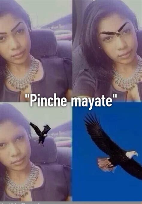 What does pinche mayate mean. October 30th, It's a slang word for damn in most situations. In formal context it means kitchen boy. It's vulgar. It means something like dumb pubic hair, but it's referring to a woman. It means you're hanging out with a pretty rough crowd.