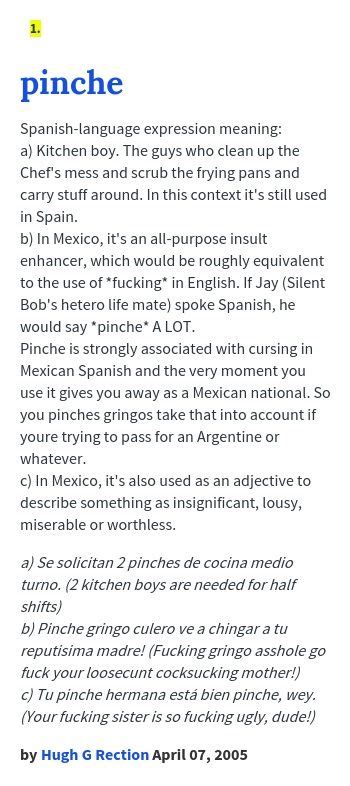 Pinche spanish to english. fucking idiot. 1. ¡Qué pinche mensa que eres! Te dije que no le dijeras nada a Raul. You're a fucking idiot! I told you not to say anything to Raul. Roll the dice and learn a new word now! 