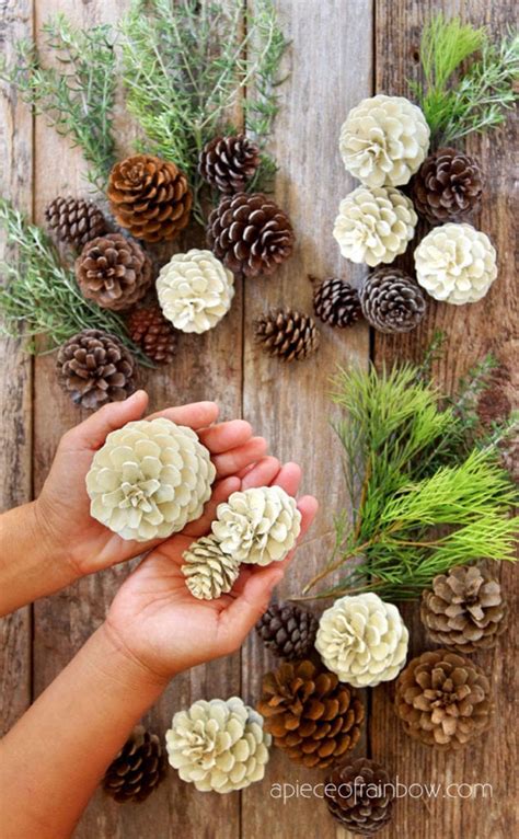 Pine Cone Crafts Ideas - DIY Cone Decor Ideas - YouTube