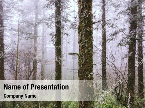 Pine Tree Powerpoint Template